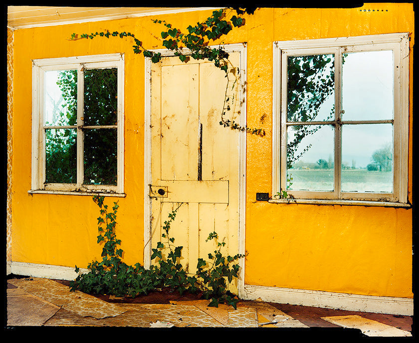 Richard Heeps derelict yellow ploughman's cottage with ivy around the door