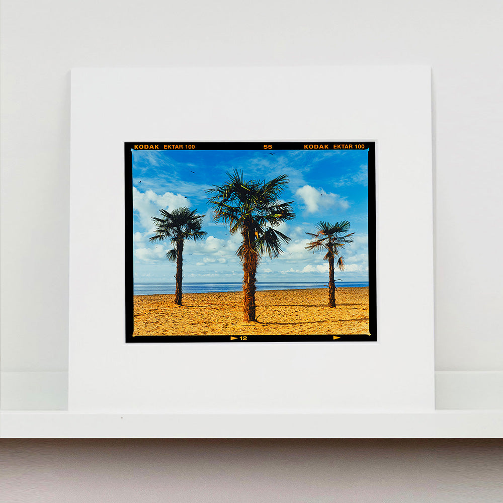 Mounted photograph by Richard Heeps.  Three palm trees on the beach at Clacton-on-Sea with shadows cast by the early evening light.