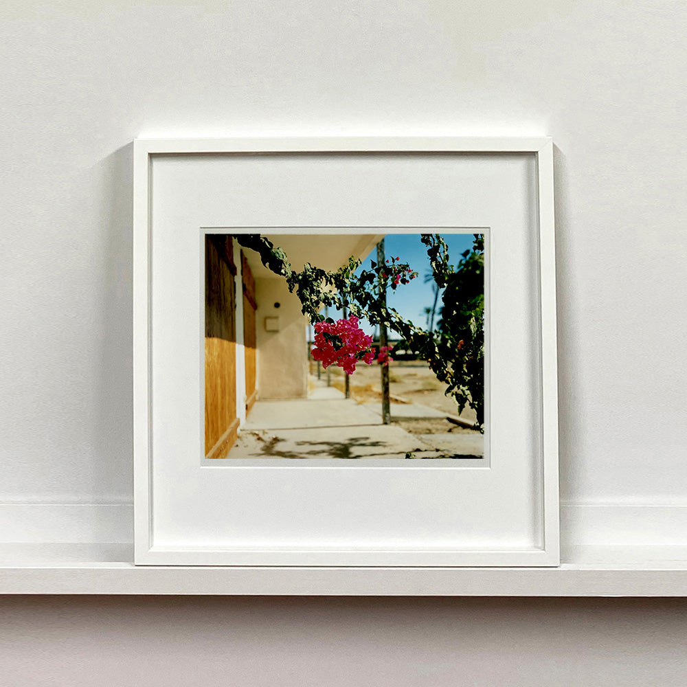 White framed photograph by Richard Heeps. A flowering bougainvillea hangs outside a motel entrance.