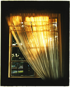 Lounge Window, Johannesburg, 2009