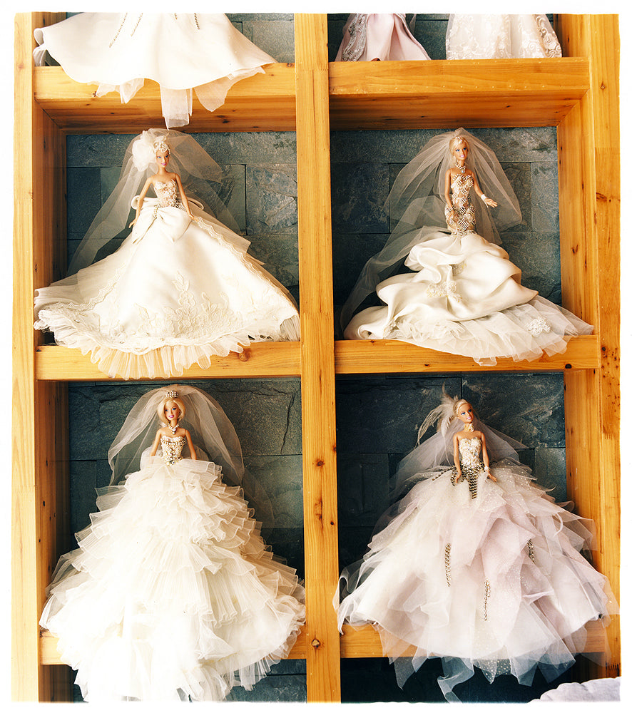 Barbie's on a Shelf, Xuzhou, Jiangsu, 2013