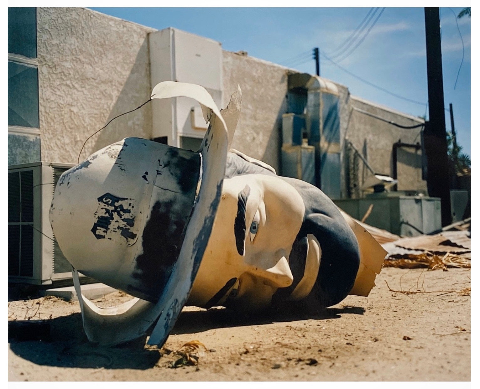 Poor Richard Head, Salton Sea, California, 2002