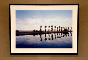 Zzyzx Resort Pool, part of Richard Heeps 'Dream in Colour' Series, he was set a challenge to find something interesting on the road from LA to Las Vegas. In the heart of the Mojave Desert, Richard found the former spa Zzyzx, an oasis. This dreamy artwork keeps the perfect summery palm print vibe all year round.