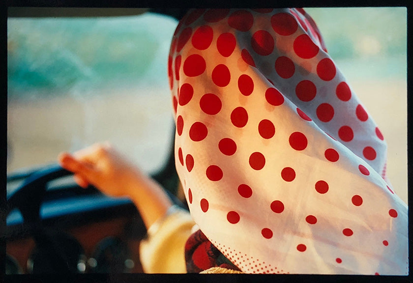 A View of the Fens from the Car With Wings