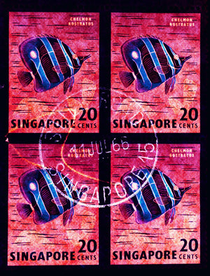 Singapore Stamp Collection 'Butterfly Fish', 2017