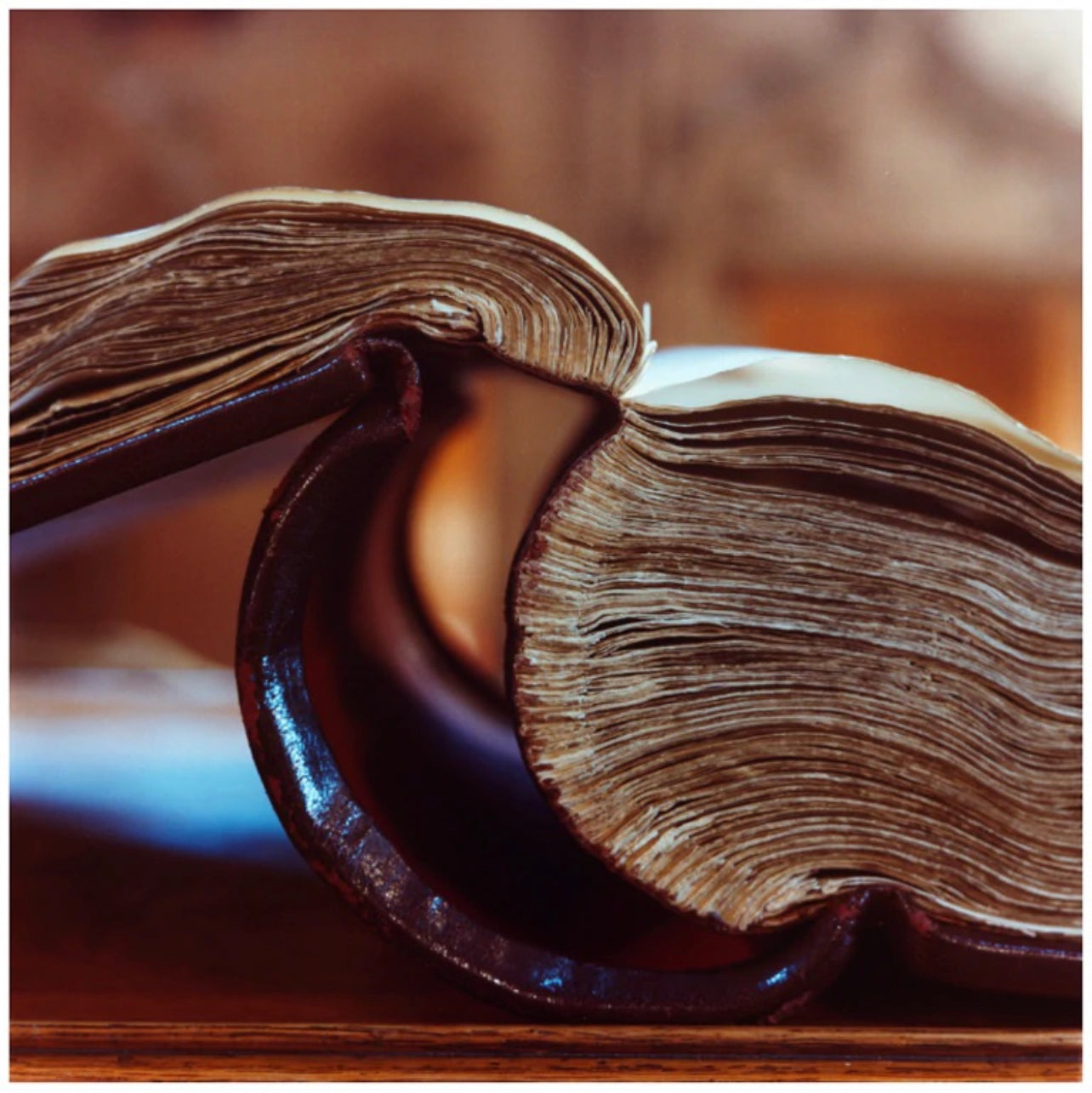 Book - John Ryland's Library, Manchester, 1987