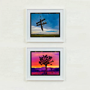 Broken Telegraph Pole, The Road to Bothaville, the Free State, 2009