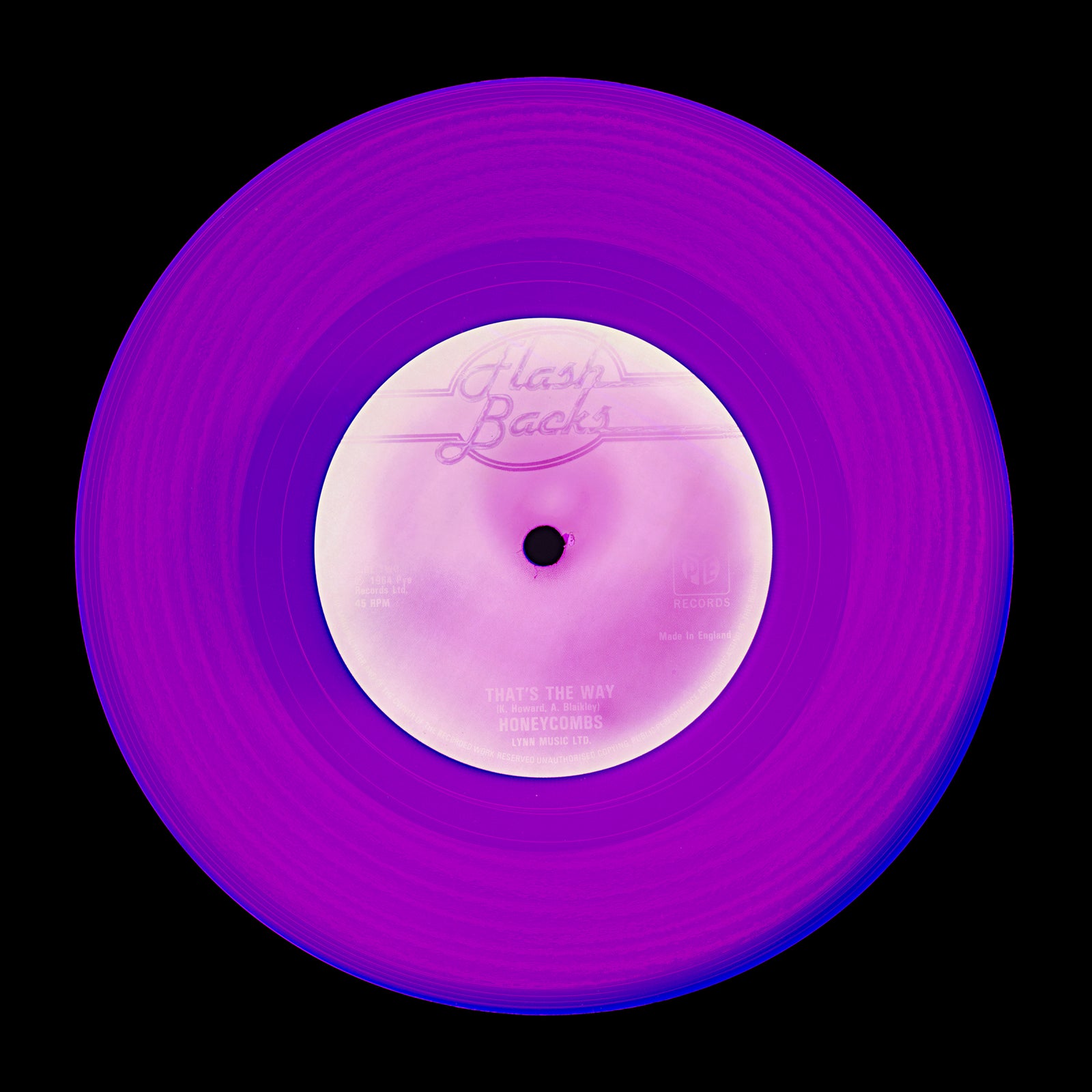 Heidler and Heeps vinyl record collection purple pop art