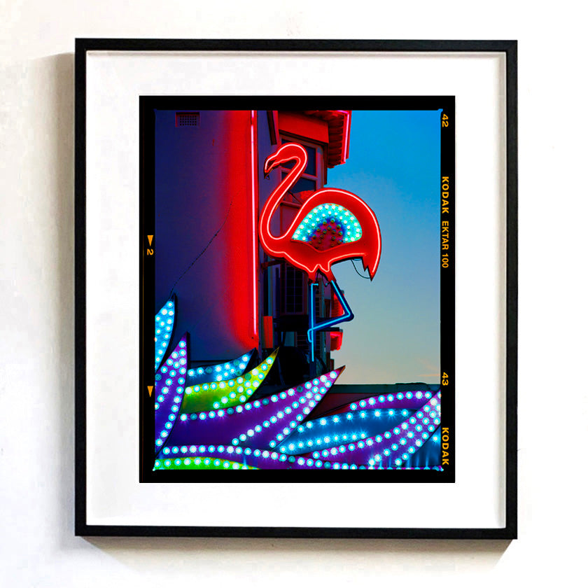 Recently sold artwork Neon Flamingo photograph by Richard Heeps framed in black