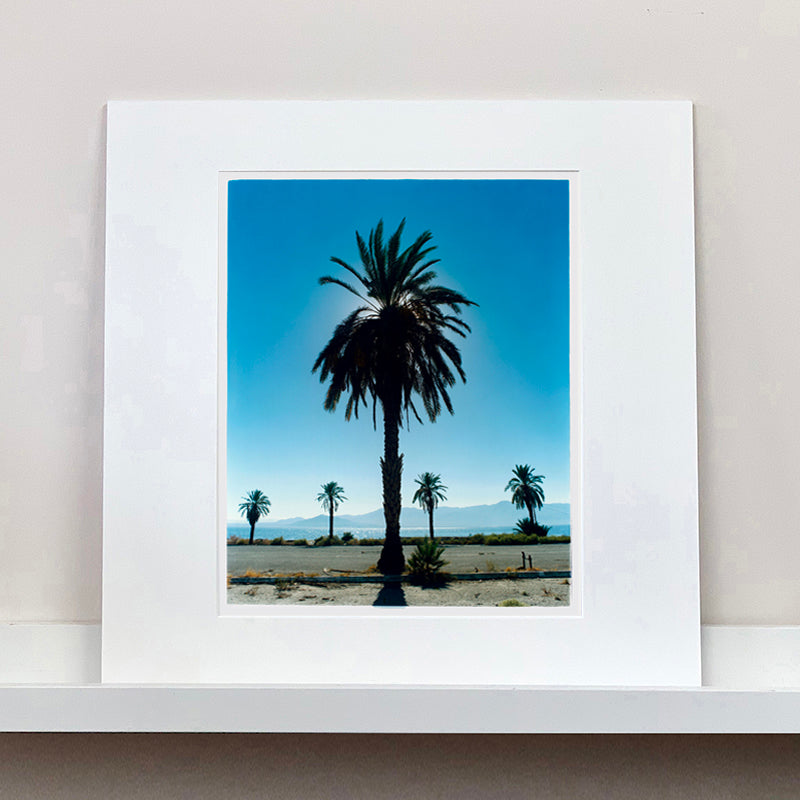 Palm tree silhouette against a bright blue California sky Salton Sea mounted photograph by Richard Heeps.