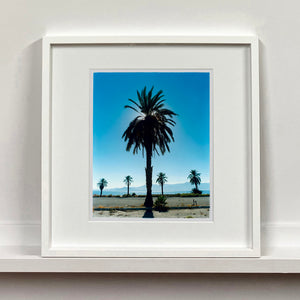 Palm tree silhouette against a bright blue California sky Salton Sea small white frame photograph by Richard Heeps.