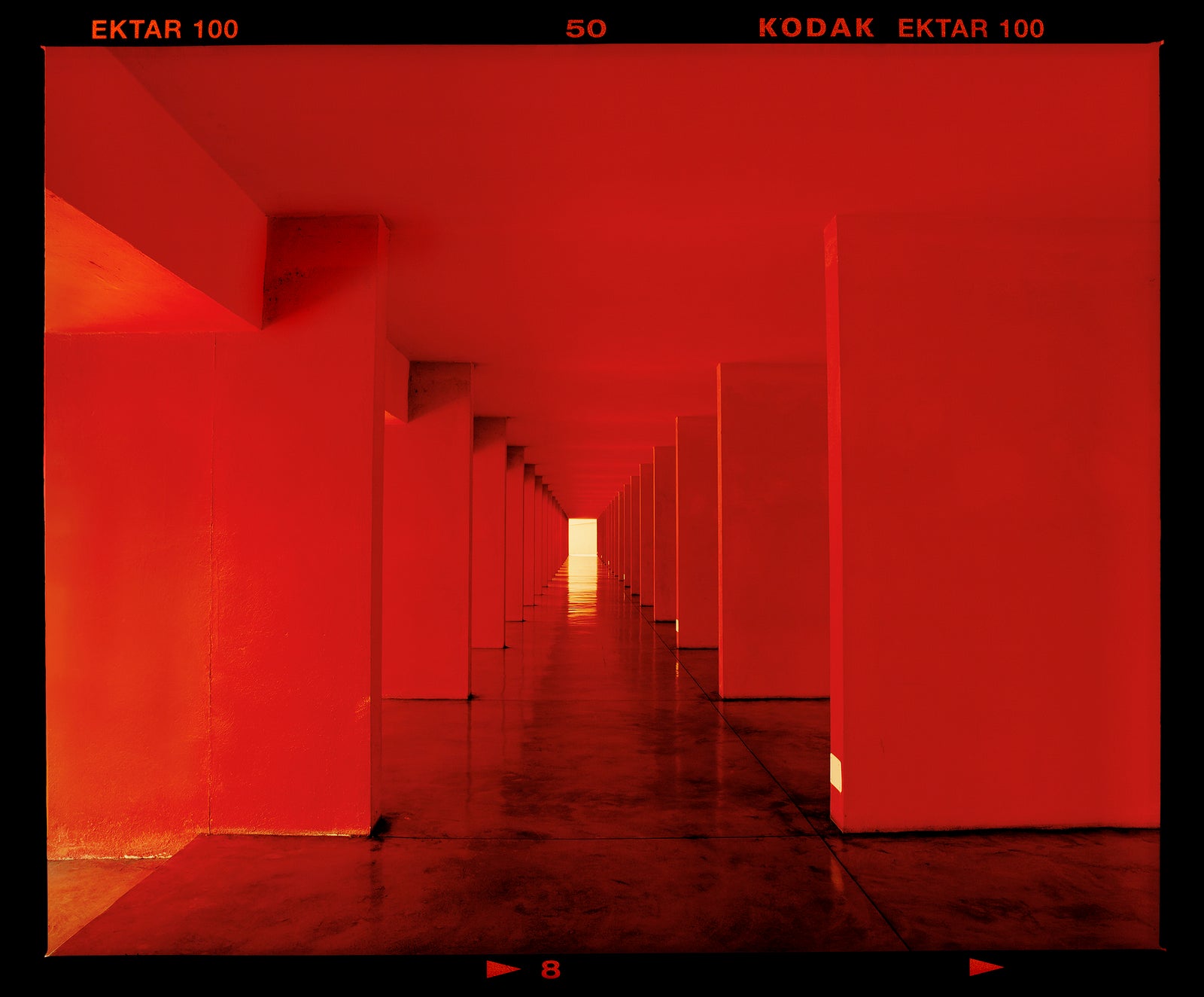 Red Dinosaur II, Milan, 2020