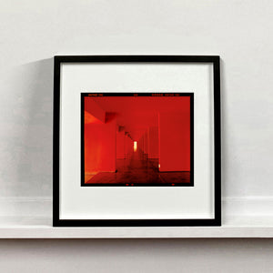 Red Dinosaur II, Milan, 2020