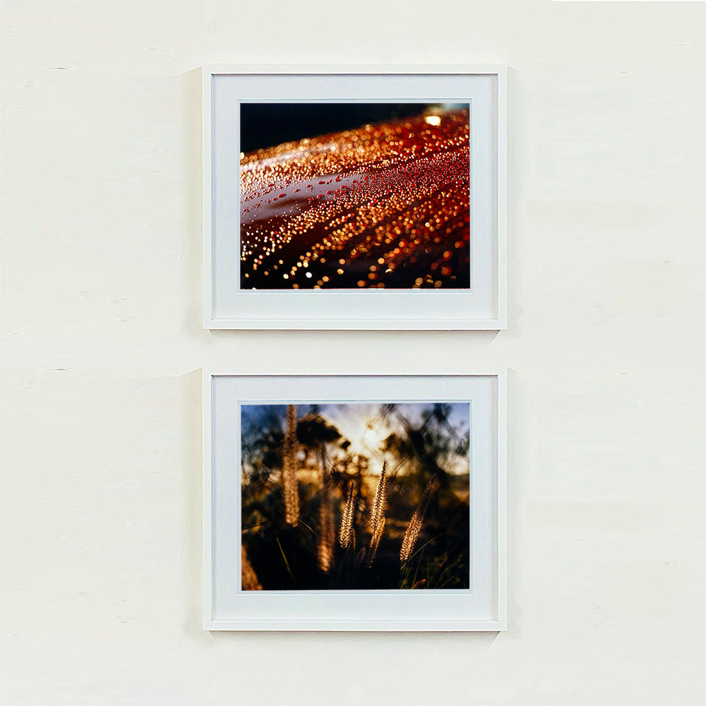 Two white framed photographs by Richard Heeps. The top photograph is of a brown metal surface with water droplets on. The lighting makes the droplets appear in different colours of orange and brown. The bottom is cotton toped grass caught in the evening sun.