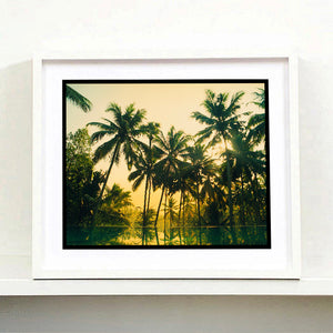 White framed photograph by Richard Heeps. Green palms trees against a warm golden sky, and reflected in a pool below.