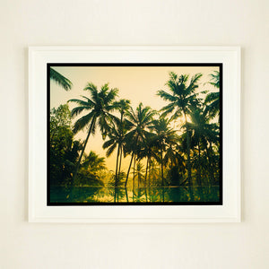 White framed photograph by Richard Heeps. Green palms trees against a warm golden sky, and reflected in a pool below.