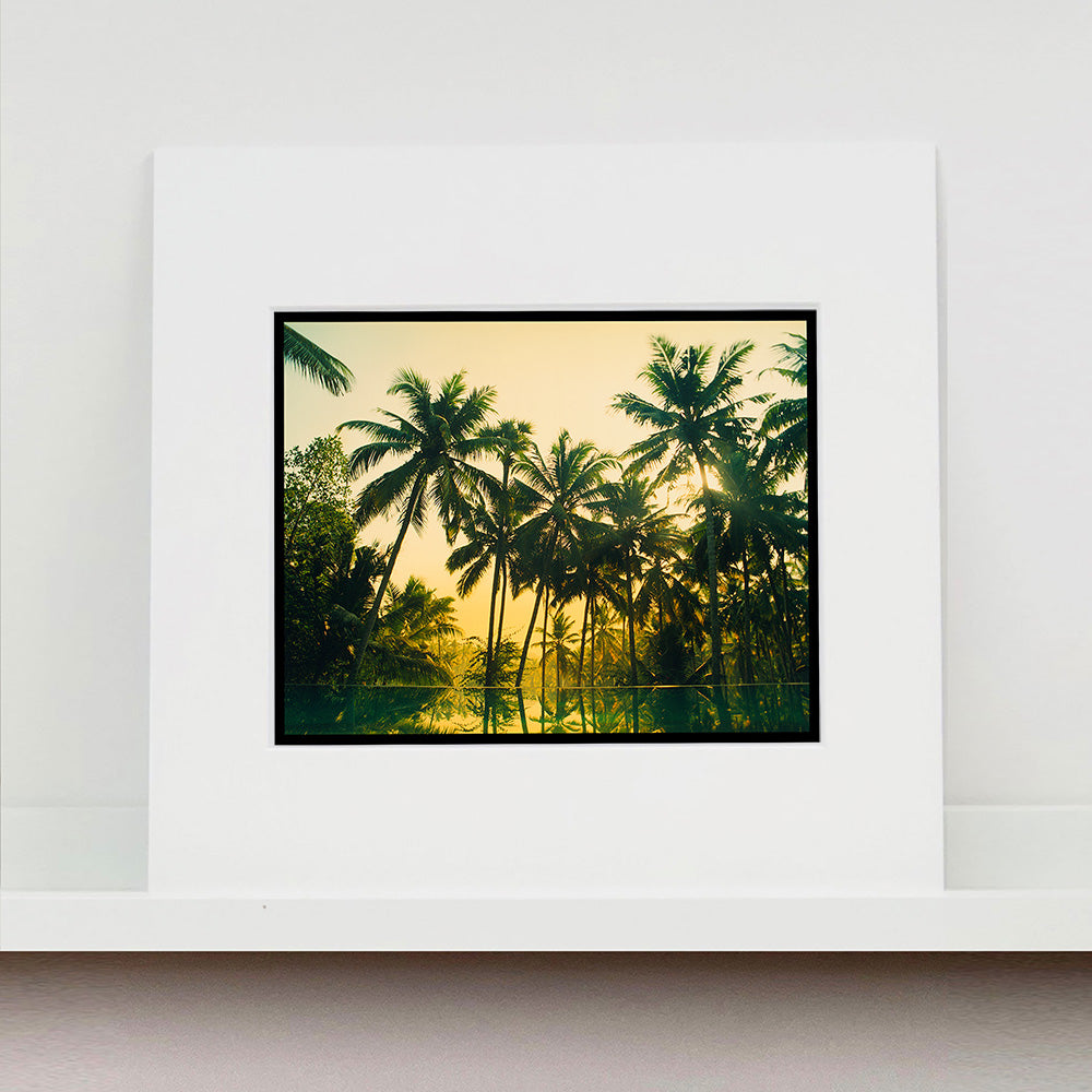 Mounted photograph by Richard Heeps. Green palms trees against a warm golden sky, and reflected in a pool below.