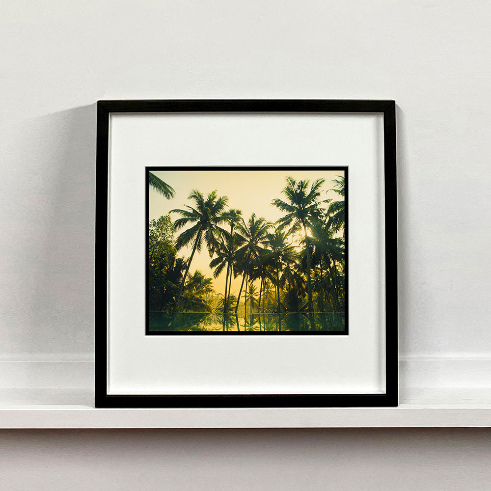 Black framed photograph by Richard Heeps. Green palms trees against a warm golden sky, and reflected in a pool below.