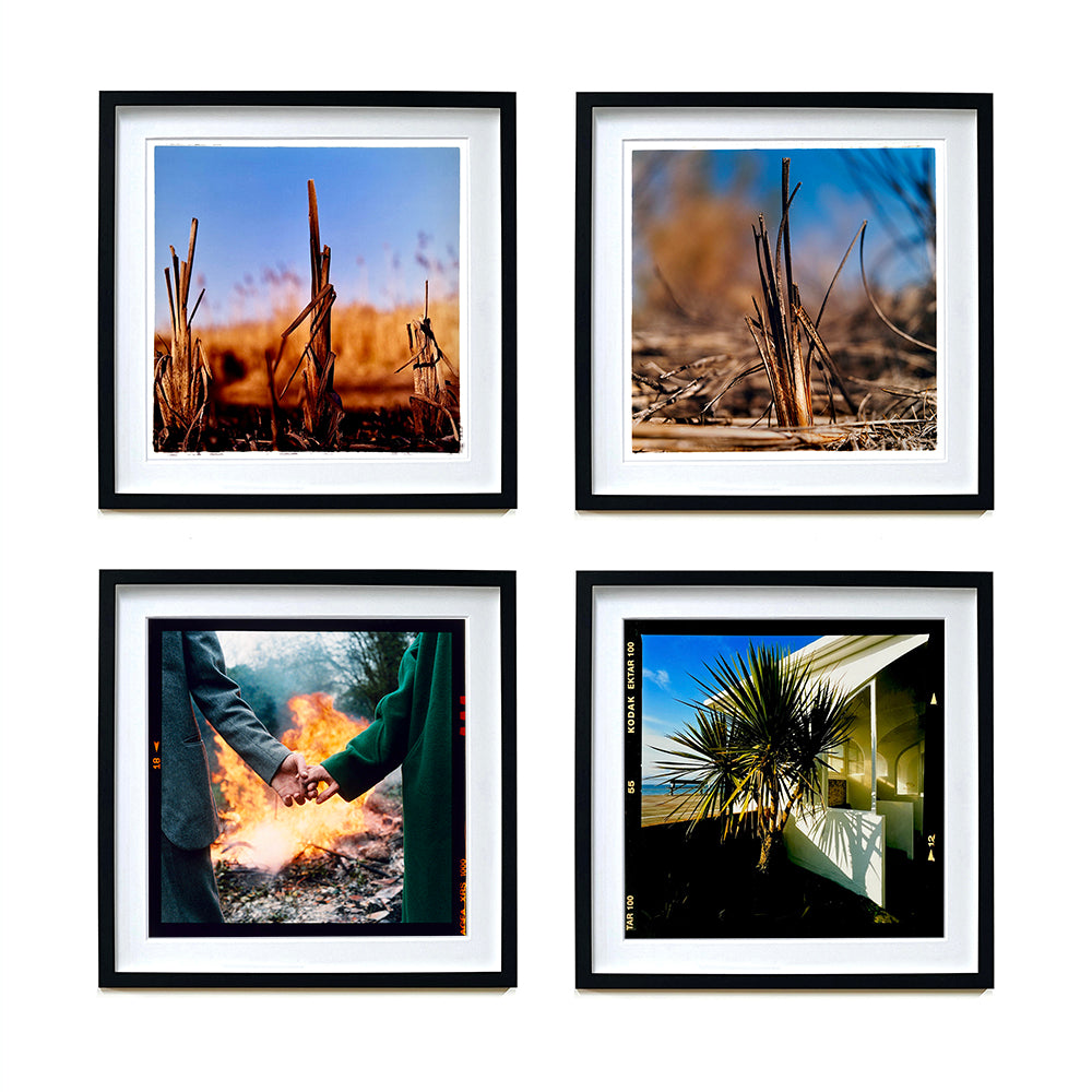 4 black framed photographs by Richard Heeps. The top two photographs are of blurred reed bed with distinct tuft highlighted against a blurred background of the reed bed. A summer blue sky is also blurred behind and the images are bathed in summer sun in different lights. The bottom left hand photograph is hands held of the arms of a man and woman with a fire burning in the background set against a wood. The bottom right hand side is a palm tree next to a white building by the sea on a sunny day.