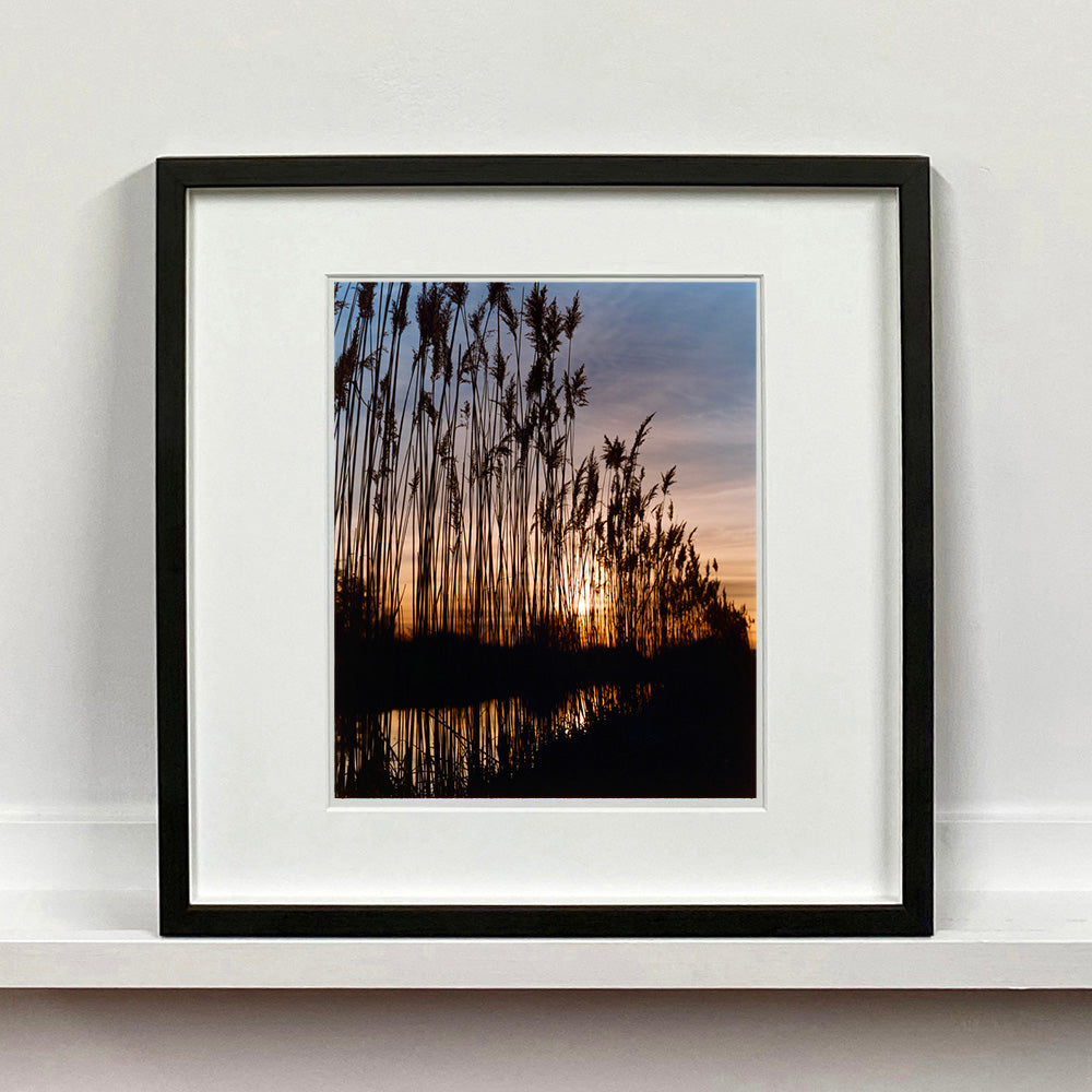 Black framed photograph by Richard Heeps. Reeds stand tall and reflect down onto the water with a setting sun behind them.