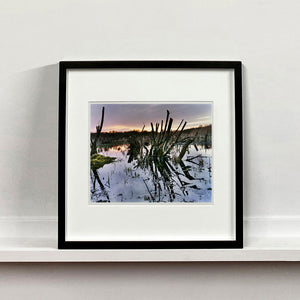 Black framed photograph by Richard Heeps. Photograph of cut down, lichen clad branches poking out of the flooded fen field. The branches are strikingly dark and create dark reflections with a golden sunset in the background.