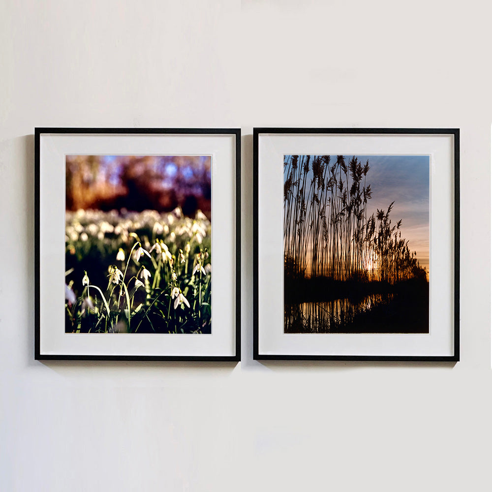 Two black framed photographs by Richard Heeps. The photograph on the left hand side features snow drops appearing clearly close up and then out of focus in the distance. The sky is out of focus browns and goldens. The photograph on the right hand side is tall reeds standing darkly reflecting in the water below and with an evening sunset in the sky behind them.