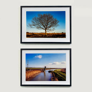 Two photographs by Richard Heeps. The top photograph is of a winter tree filling the photograph, with a vast blue sky behind and golden fenland below. The photograph at the bottom is looking towards a fen waterway with a bridge like structure, the weights drain, in the up position. The sky is blue and the flat fenland sits either side of the water. 
