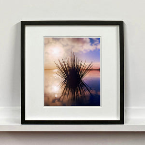 Black framed photograph by Richard Heeps. A tussock of grass sits at dusk in fenland water. It is bathed in a golden dusk light.