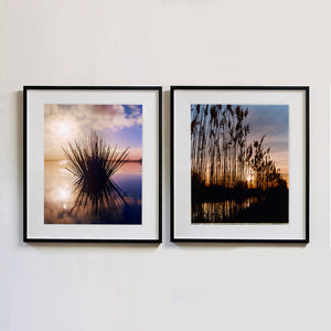 Two black framed photographs by Richard Heeps. The one on the left is of a tussock of grass sitting dark with its reflection at dusk in fenland water. It is bathed in a golden dusk light. The photograph on the right is tall fenland grass dark in the light of dusk with golden light filtering through it.