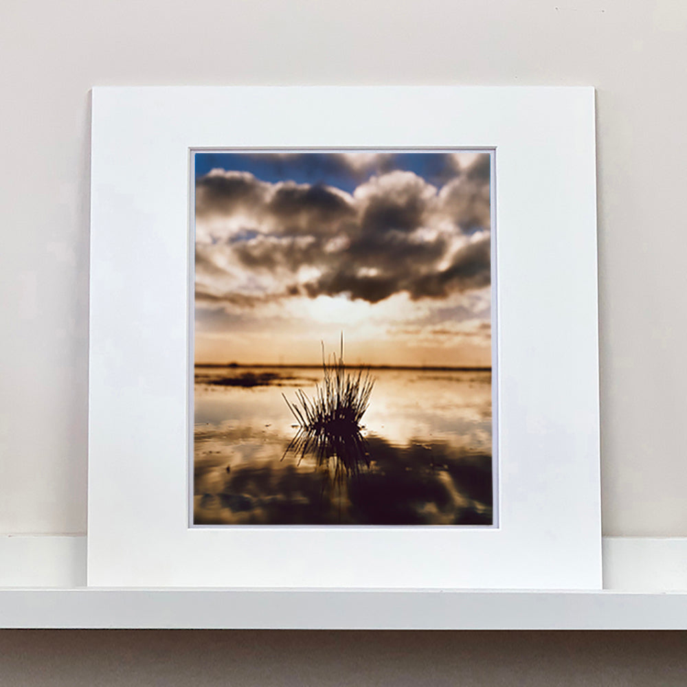 Photograph by Richard Heeps. A tussock of grass sits at dusk in fenland water. It is siting under a black and white cloud formation with a golden dusk hue.