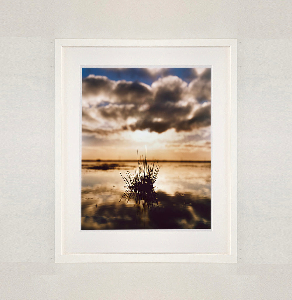 White framed photograph by Richard Heeps. A tussock of grass sits at dusk in fenland water. It is siting under a black and white cloud formation with a golden dusk hue.