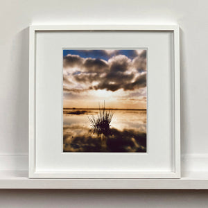 White framed photograph by Richard Heeps. A tussock of grass sits at dusk in fenland water. It is siting under a black and white cloud formation with a golden dusk hue.