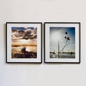 Two black framed photographs by Richard Heeps. The photograph on the left side features a tussock of grass sitting at dusk in fenland water. It is siting under a black and white cloud formation with a golden dusk hue. The photograph on the right side is a teasel in the grey reflective water, bathed in the rays of a white cloud.