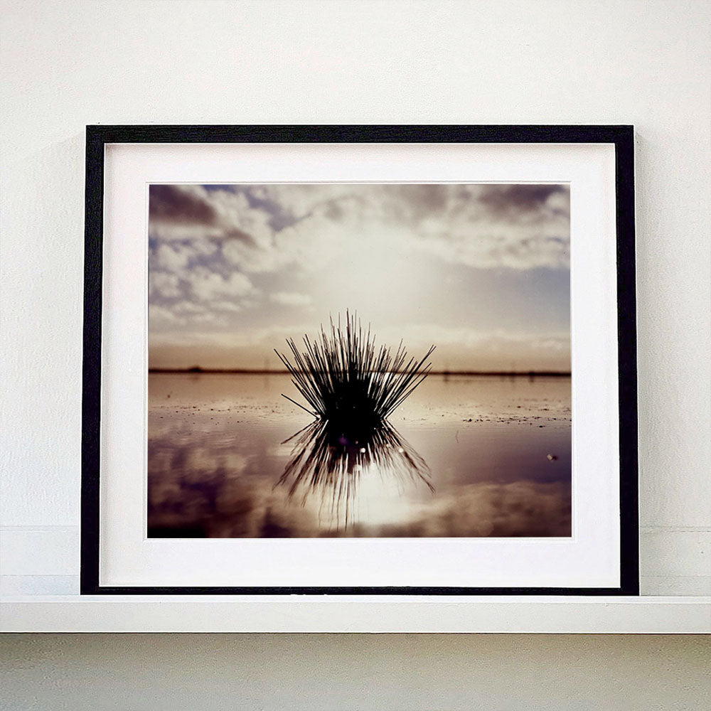 Black framed photograph by Richard Heeps. A tussock is central to this photograph, black and reflected black into the fenland water below. The sky behind is dusky and atmospheric.