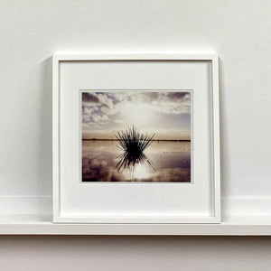 White framed photograph by Richard Heeps. A tussock is central to this photograph, black and reflected black into the fenland water below. The sky behind is dusky and atmospheric.