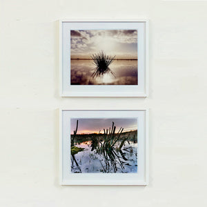 Two white framed photographs by Richard Heeps. The photograph on the top is of a tussock sitting in the water, black and reflected black into the fenland water below. The sky behind is dusky and atmospheric. The photograph at the bottom is of cut down winter sedge in a fenland waterway.