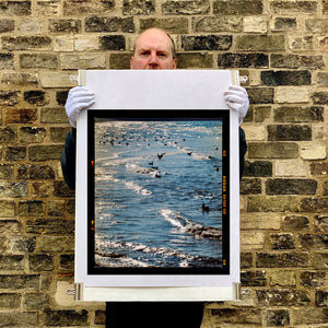 Sea and Gulls, Brighton, 2025