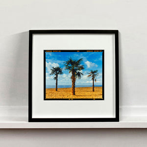 Black framed photograph by Richard Heeps.  Three palm trees on the beach at Clacton-on-Sea with shadows cast by the early evening light.