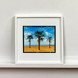 White framed photograph by Richard Heeps.  Three palm trees on the beach at Clacton-on-Sea with shadows cast by the early evening light.