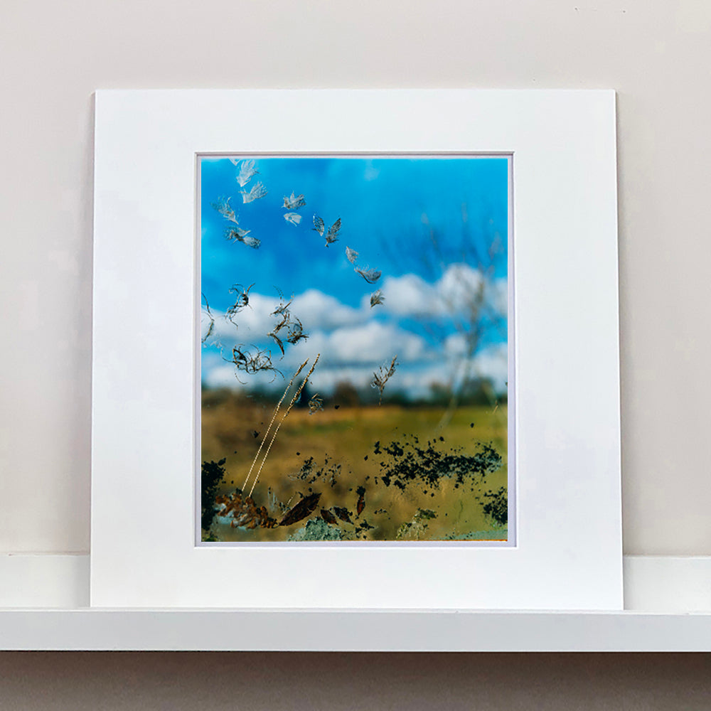 Photograph by Richard Heeps. Feathers, leaves, sticks and other fenland debris appears at the front of this photograph with a hazy blue fenland sky and scene blurred behind.
