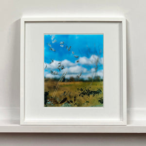 White framed photograph by Richard Heeps. Feathers, leaves, sticks and other fenland debris appears at the front of this photograph with a hazy blue fenland sky and scene blurred behind.