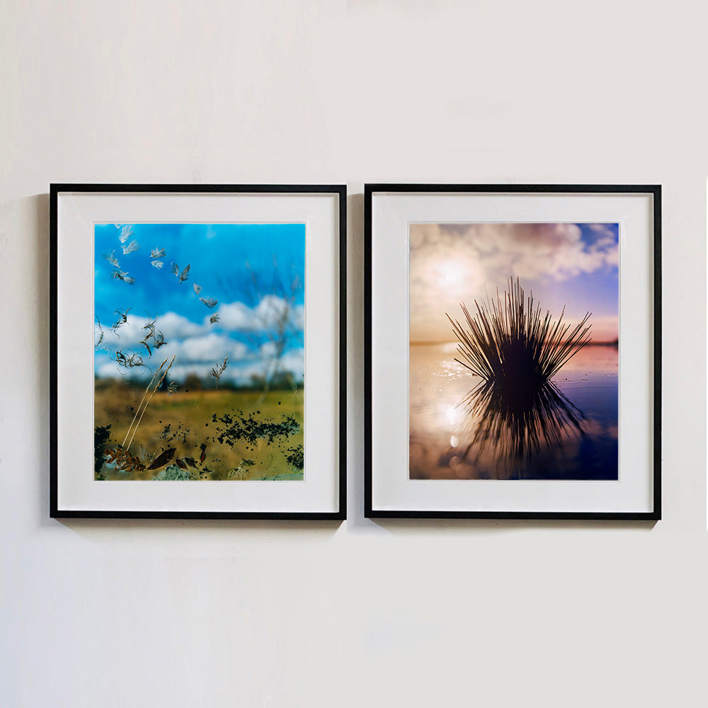 Two black framed photographs by Richard Heeps side by side. The left hand side one is of feathers, leaves, sticks and other fenland debris at the front of this photograph with a hazy blue fenland sky and scene blurred behind. The photograph on the right hand side is a fenland reed tussock sitting in the water, with a warm hazy blue and orange sky sitting behind.