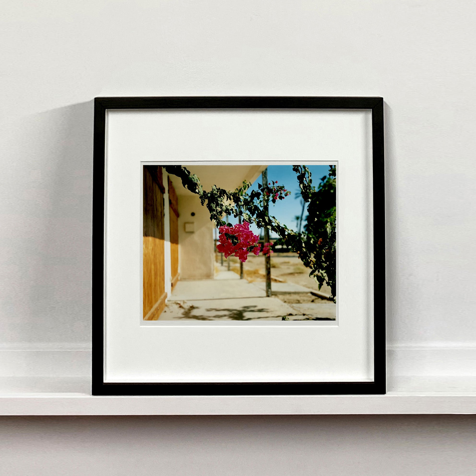 Black framed photograph held by photographer,Richard Heeps. A flowering bougainvillea hangs outside a motel entrance.