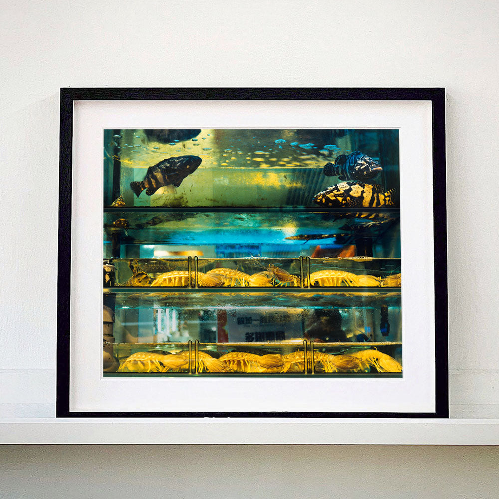 Black framed photograph by Richard Heeps. Wet market fish tank filled with blue green and yellow fish, in a Hong Kong street.