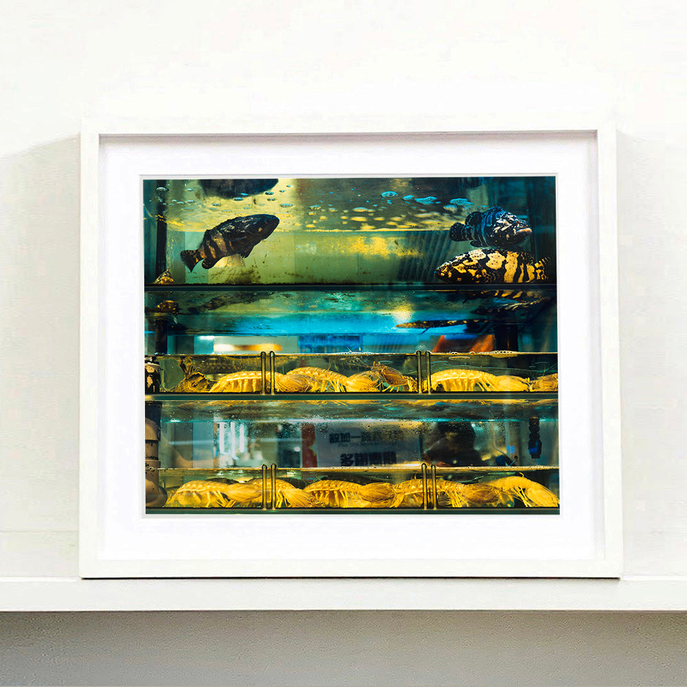 White mounted photograph by Richard Heeps. Wet market fish tank filled with blue green and yellow fish, in a Hong Kong street.