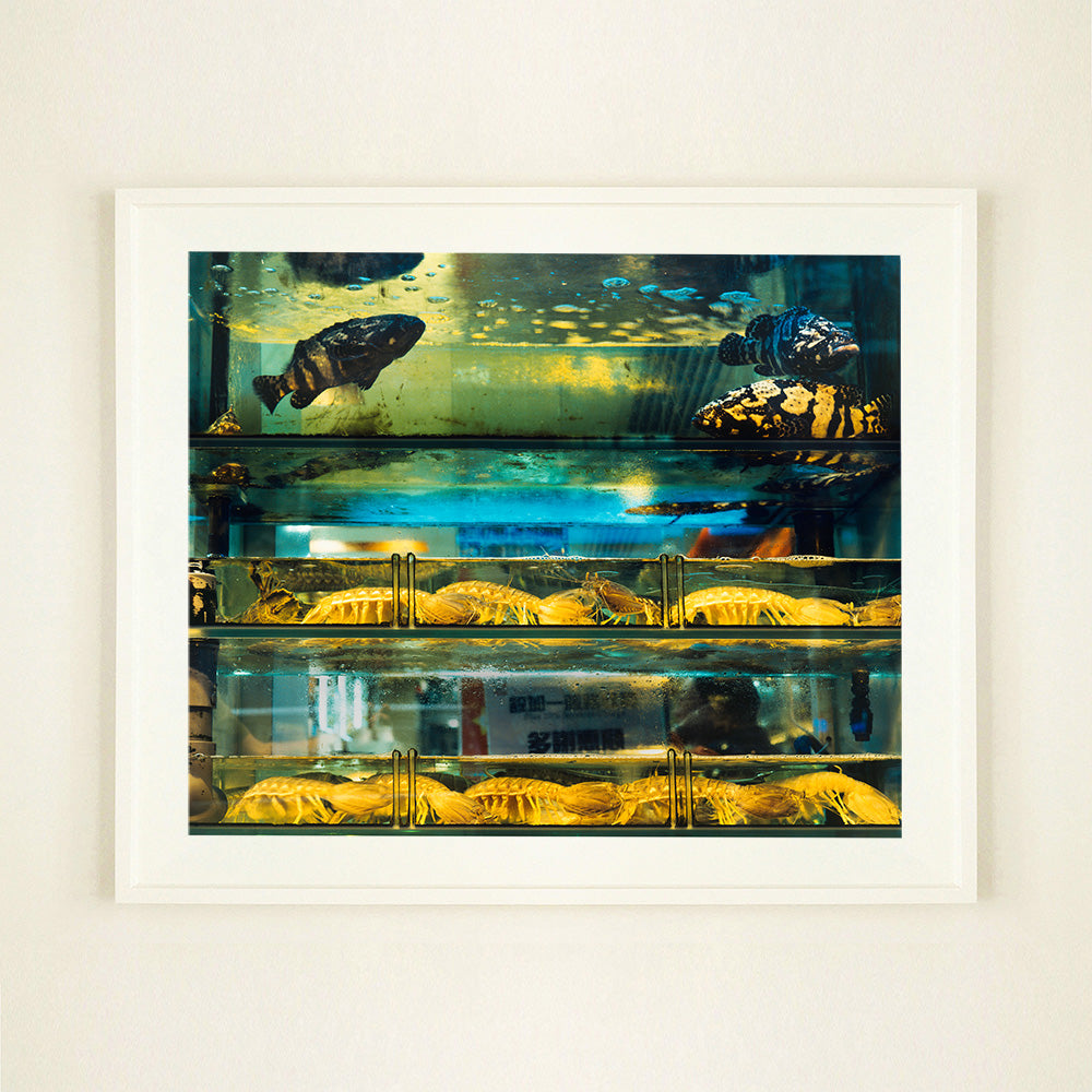 White mounted photograph by Richard Heeps. Wet market fish tank filled with blue green and yellow fish, in a Hong Kong street.