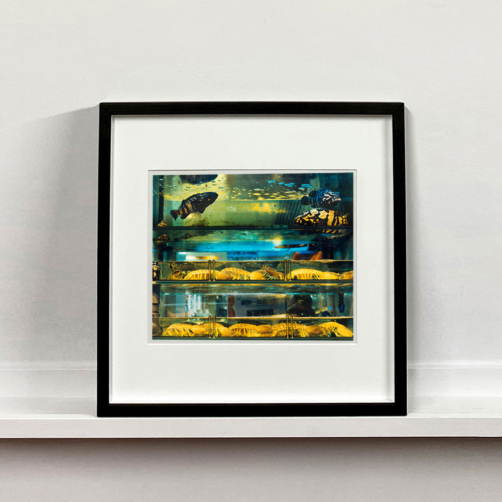 Black mounted photograph by Richard Heeps. Wet market fish tank filled with blue green and yellow fish, in a Hong Kong street.