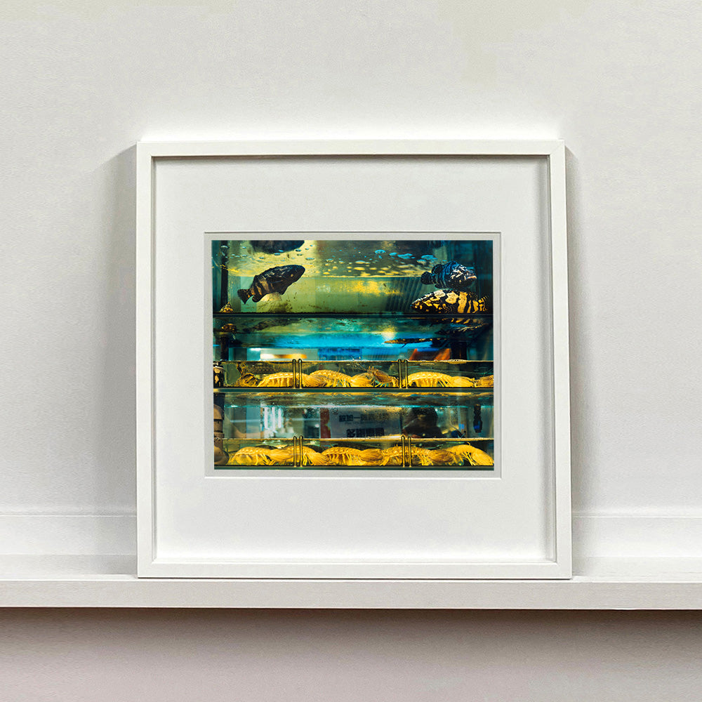 White mounted photograph by Richard Heeps. Wet market fish tank filled with blue green and yellow fish, in a Hong Kong street.