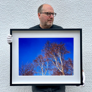 Black framed photograph held by photographer Richard Heeps. This photograph is looking up at the tops of four leafless silver birches against a deep blue autumn sky.