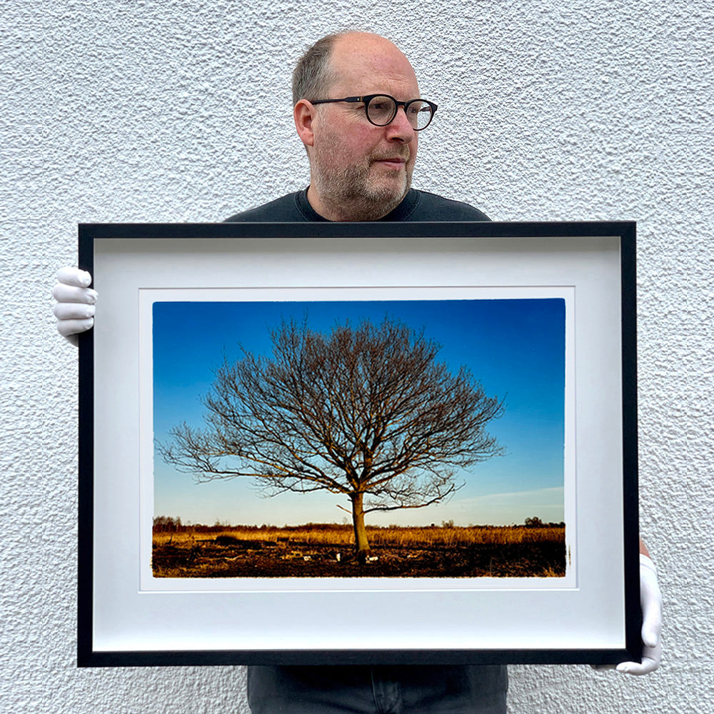 Photograph held by photographer Richard Heeps. A winter tree fills this photograph, with a vast blue sky behind and golden fenland below.